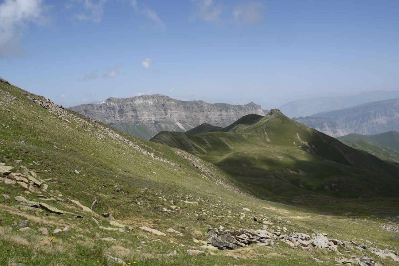 5 км от Цумандинского перевала, image of landscape/habitat.