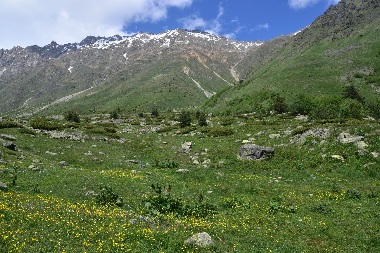 Долина реки Терскол, image of landscape/habitat.