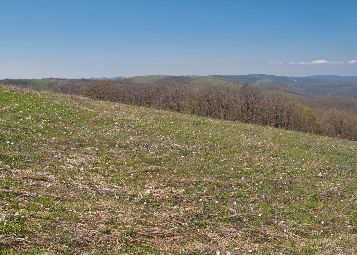 Гора Рябкова, image of landscape/habitat.