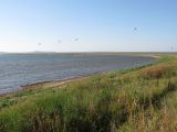 Кизилташский лиман, image of landscape/habitat.