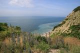Image of landscape