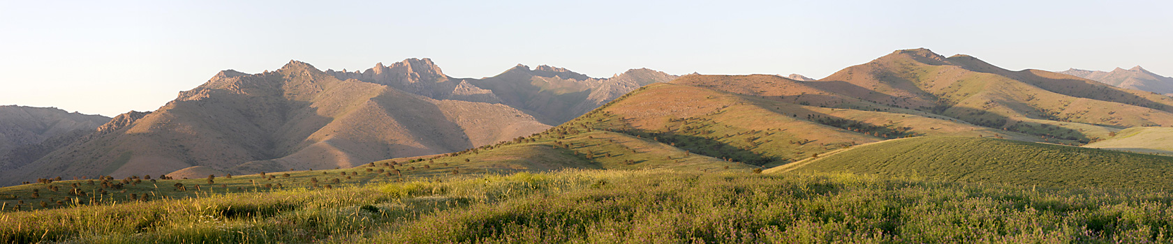 Хребет Боролдайтау, image of landscape/habitat.