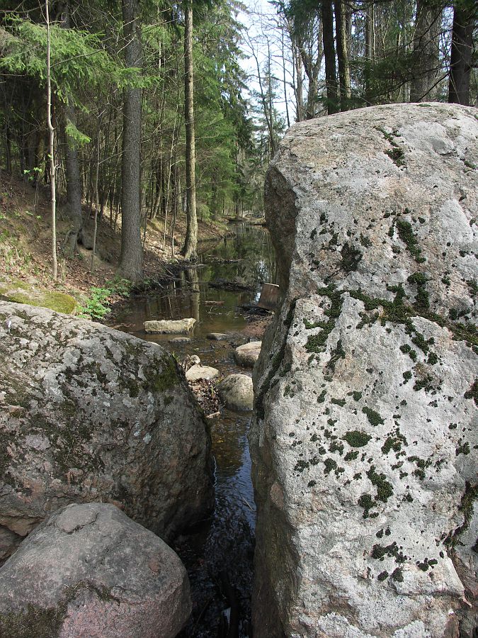 Парк "Сергиевка", image of landscape/habitat.