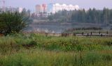 Image of landscape