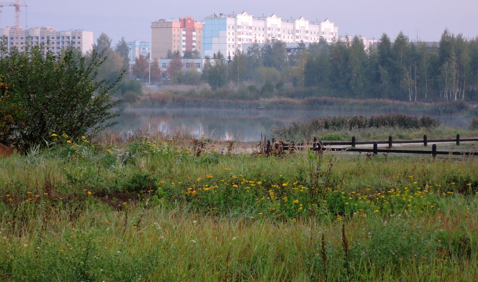 Стахановское озеро, image of landscape/habitat.