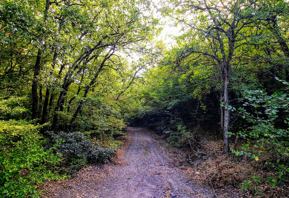 Аюдаг, image of landscape/habitat.