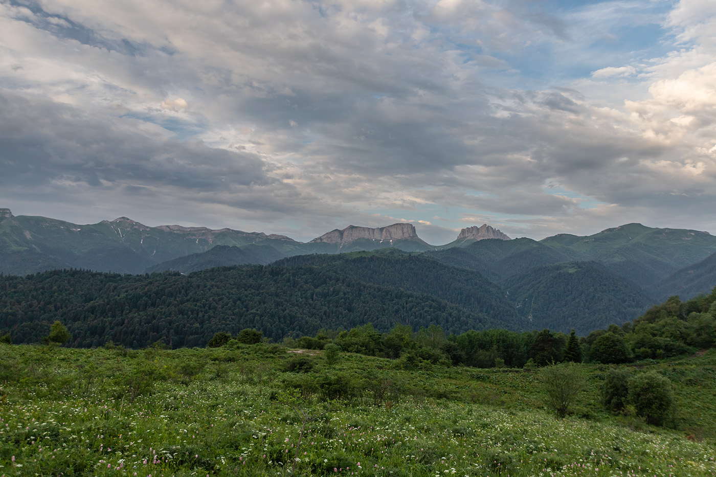 Бароновы поляны, image of landscape/habitat.