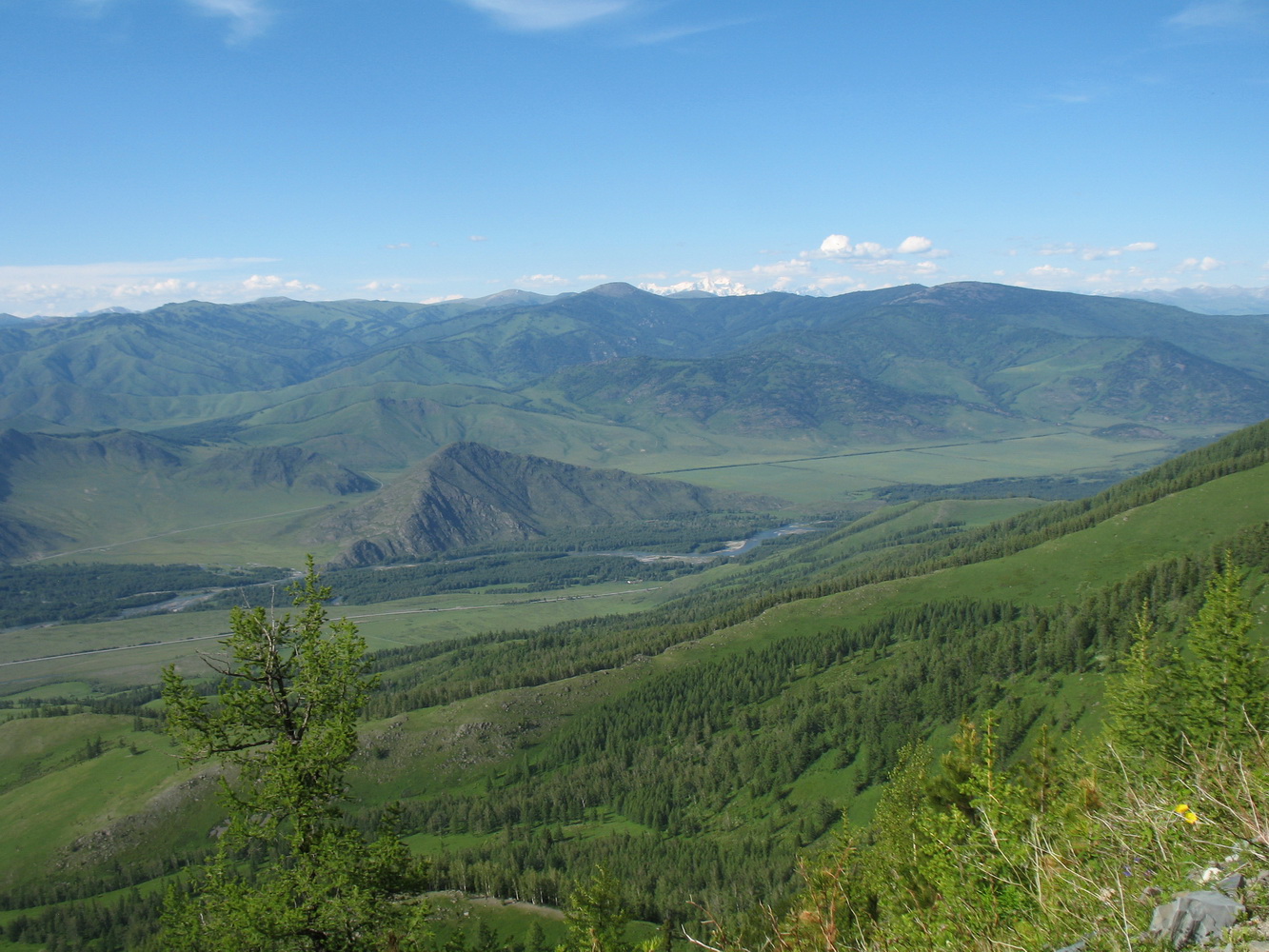 Перевал Бурхат, image of landscape/habitat.