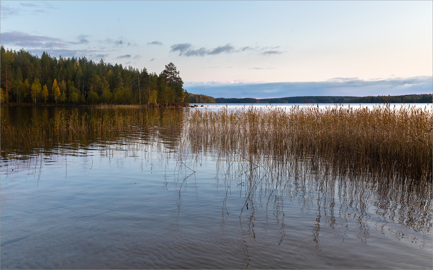 Толвоярви, image of landscape/habitat.