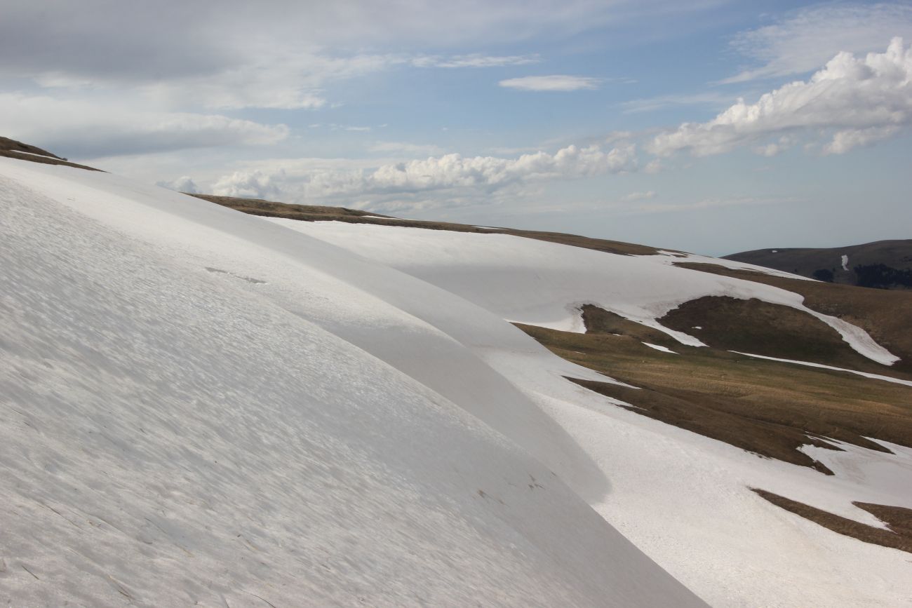 Окрестности ручья Молочка, image of landscape/habitat.