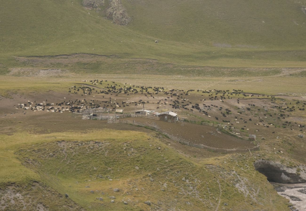 Долина Карачаул, изображение ландшафта.