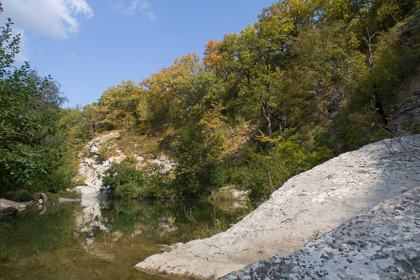 Плачущая скала, image of landscape/habitat.