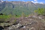 Image of landscape