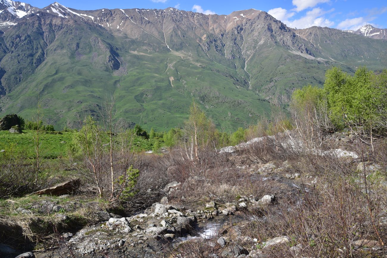 Река Когутайка, image of landscape/habitat.