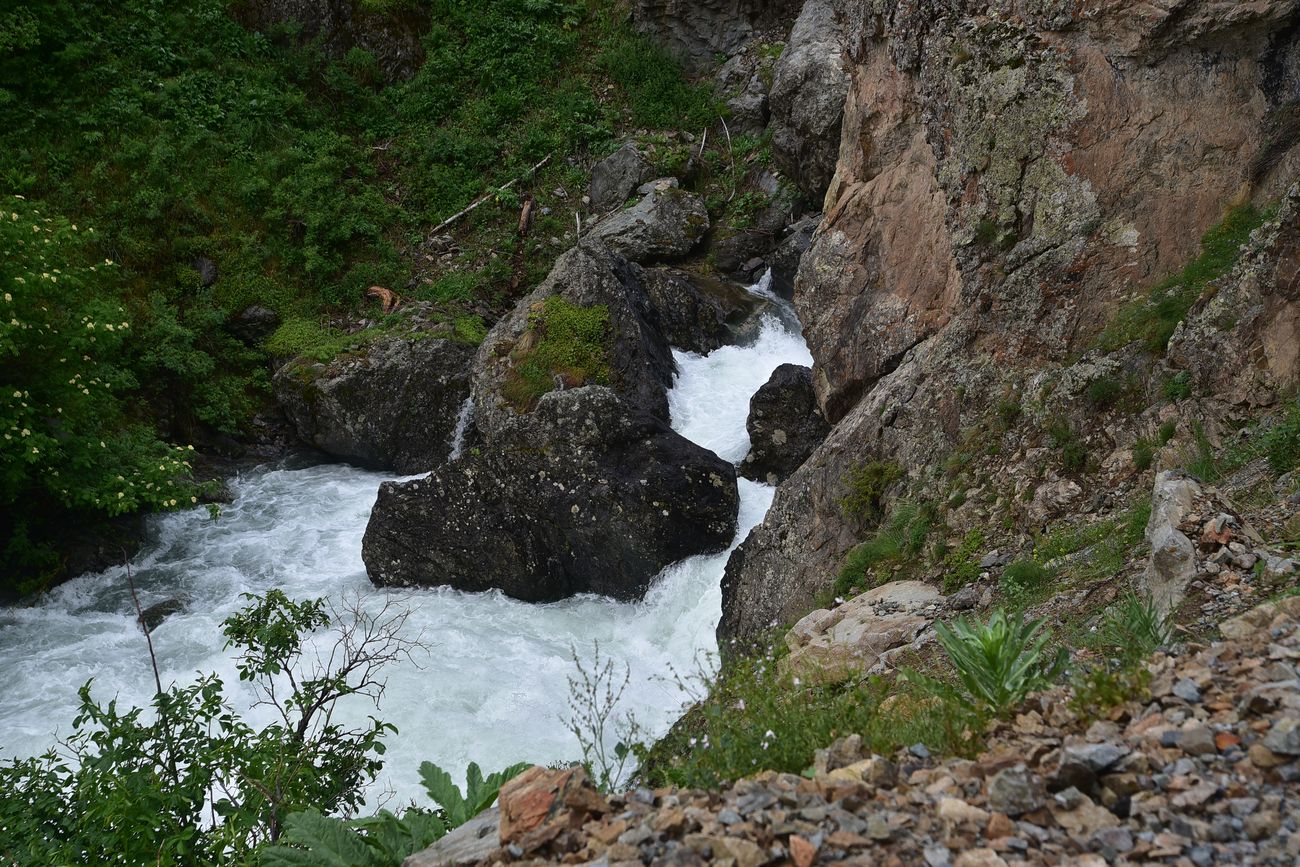 Глыбы в русле, image of landscape/habitat.