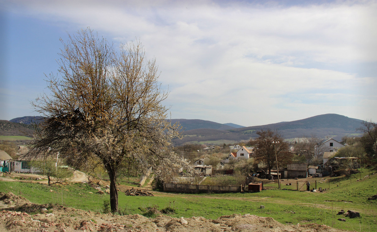 Варнутская долина, image of landscape/habitat.