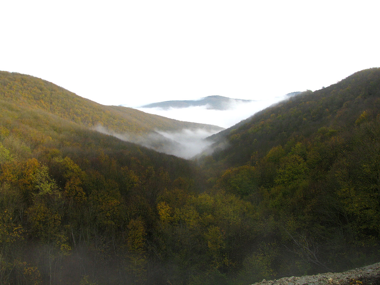 Маркотхский Хребет, image of landscape/habitat.