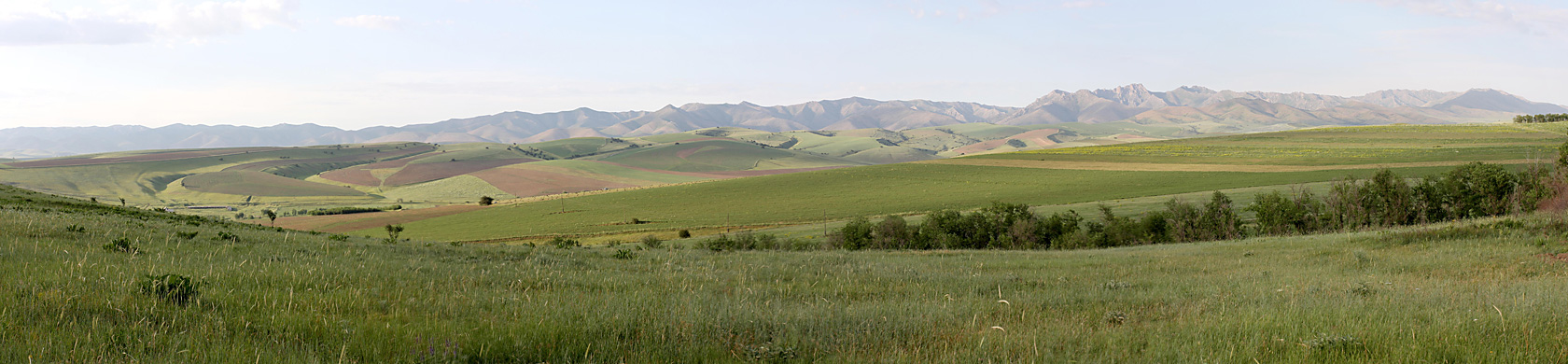 Хребет Боролдайтау, image of landscape/habitat.