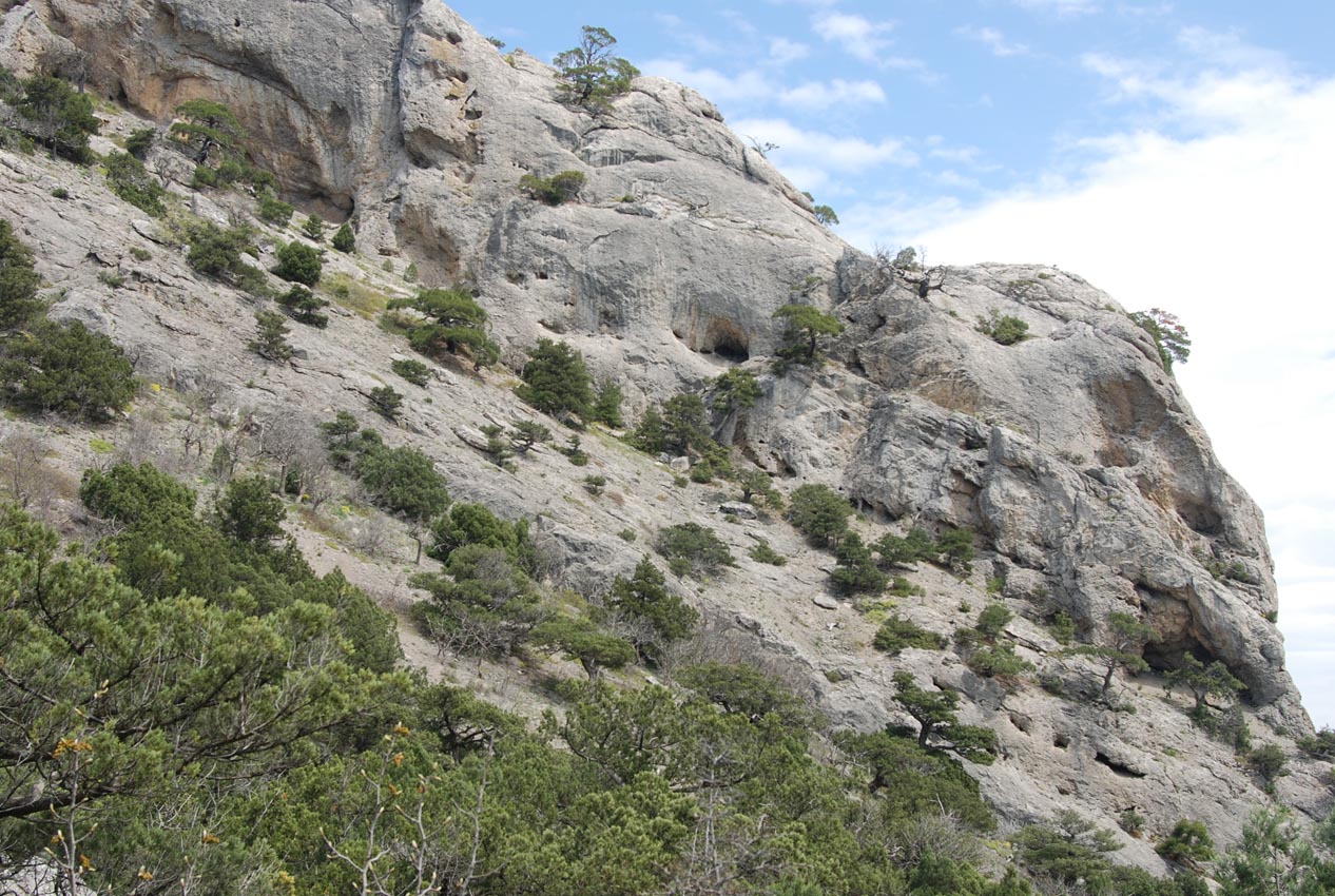 Караул-Оба, image of landscape/habitat.