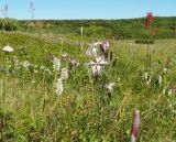 Река Вельт, image of landscape/habitat.