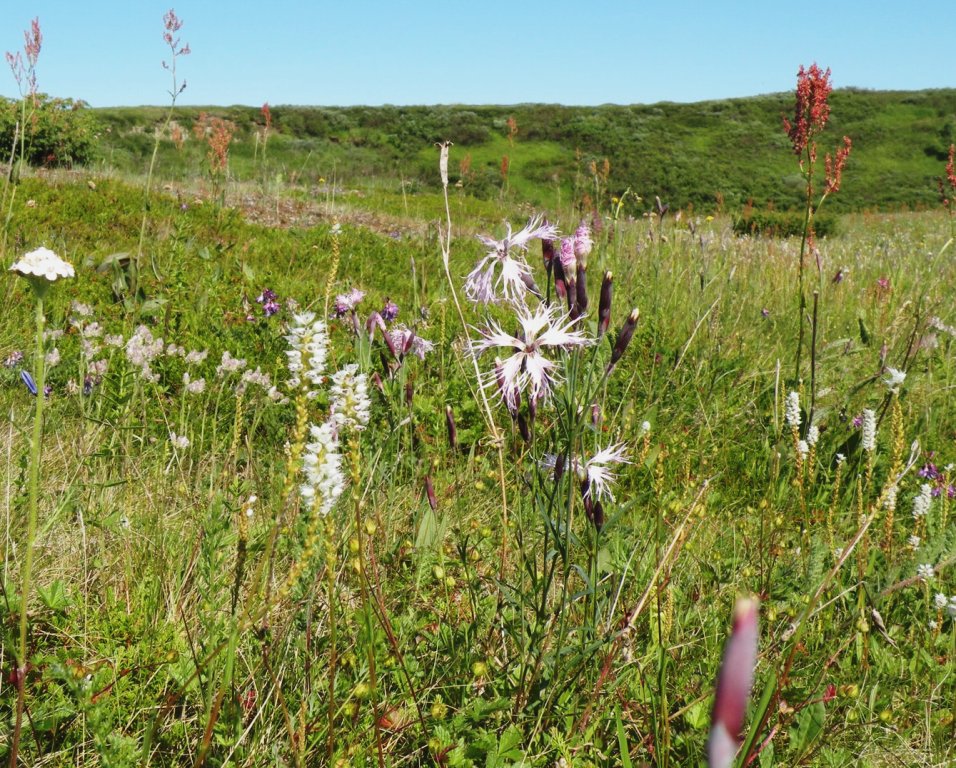 Река Вельт, image of landscape/habitat.