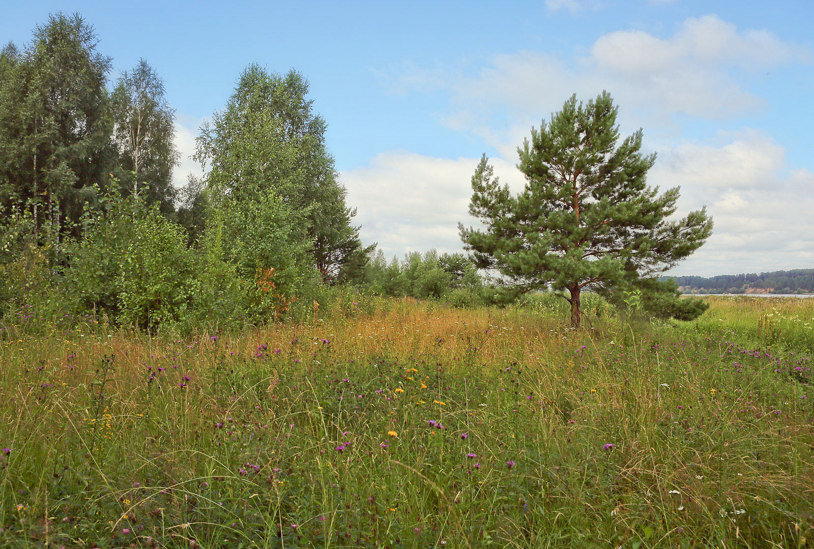 Закамск, image of landscape/habitat.