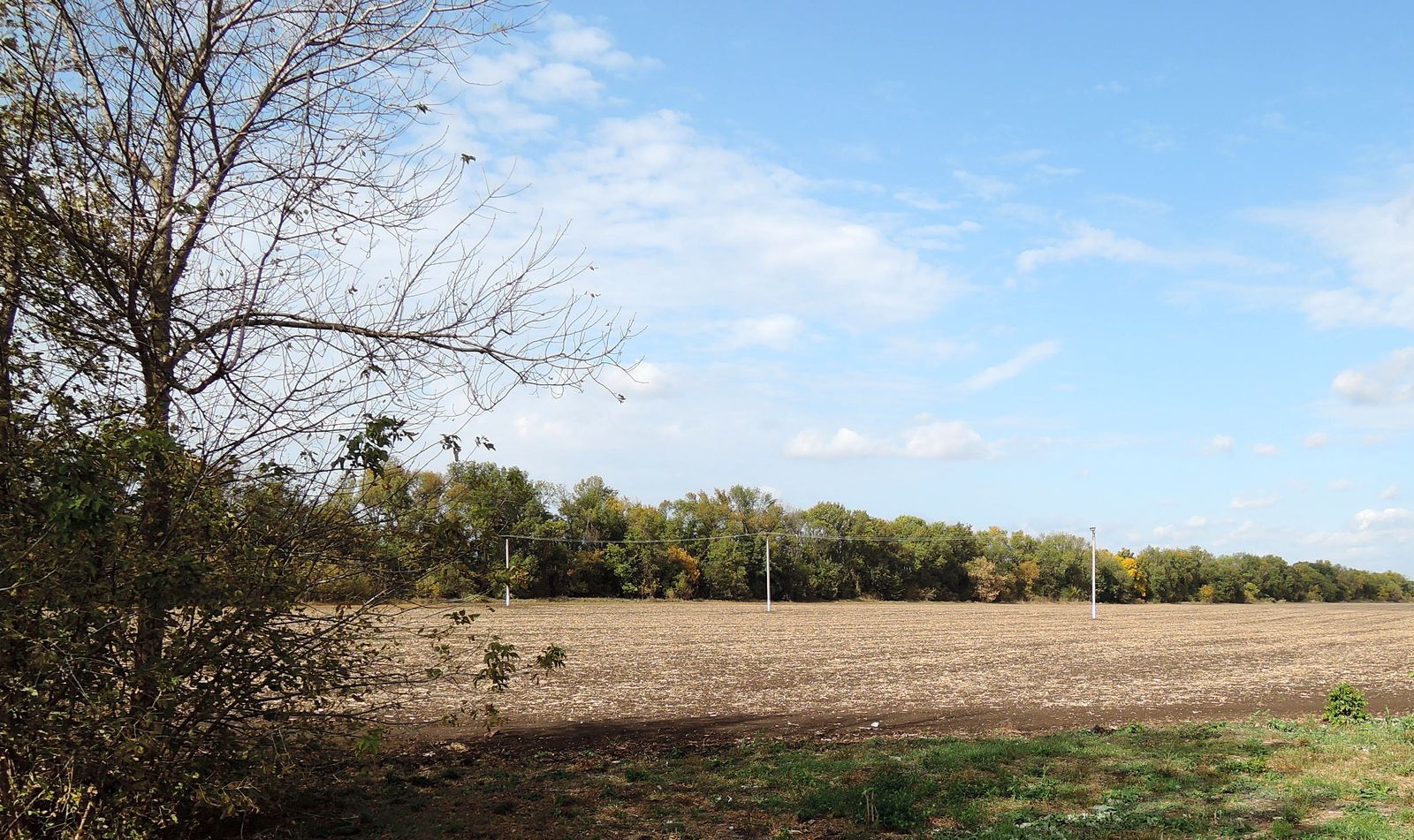 Усть-Лабинск, image of landscape/habitat.