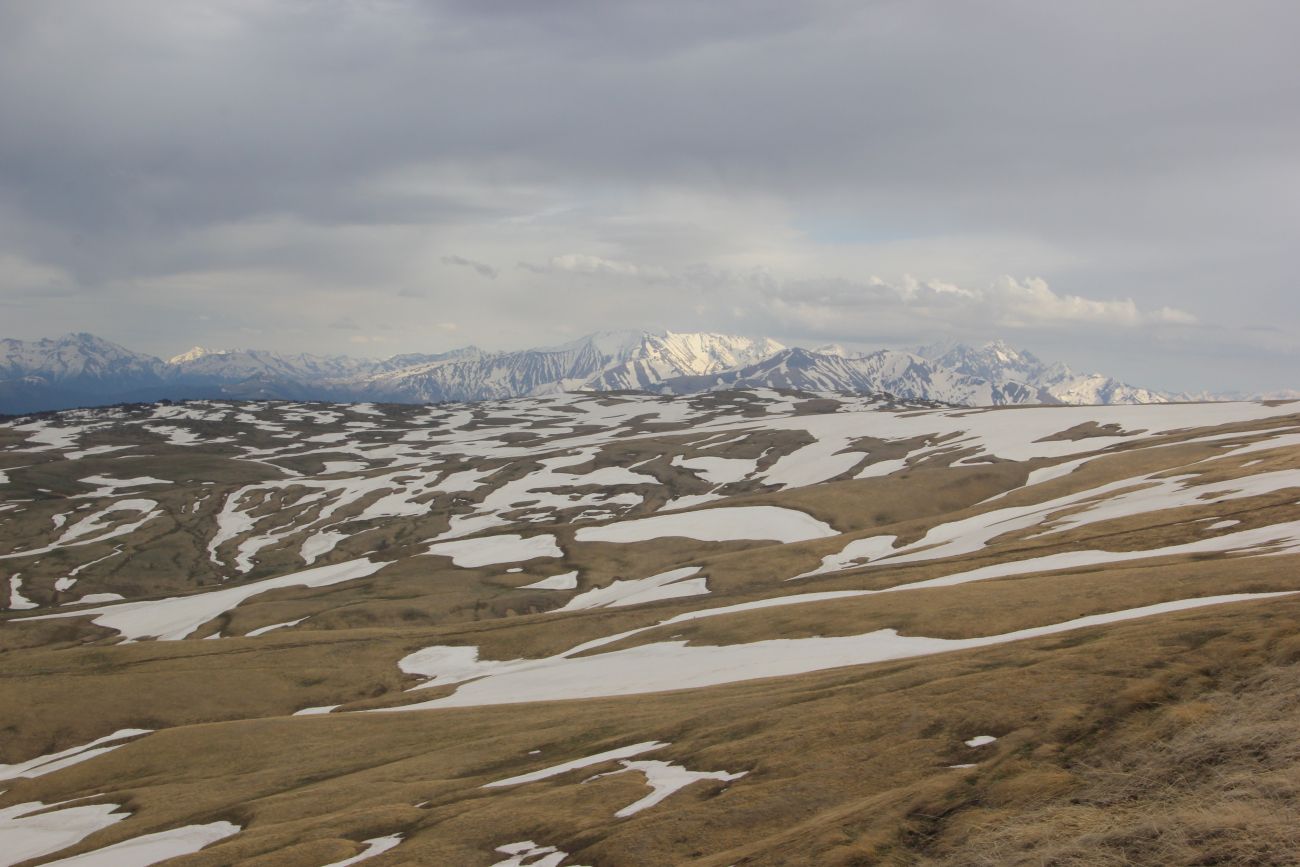 Окрестности ручья Молочка, image of landscape/habitat.