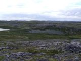 Порчниха, image of landscape/habitat.