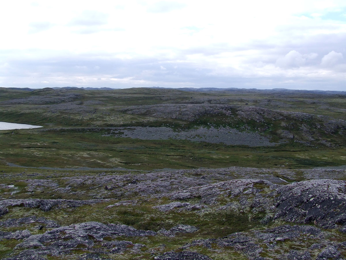 Порчниха, image of landscape/habitat.