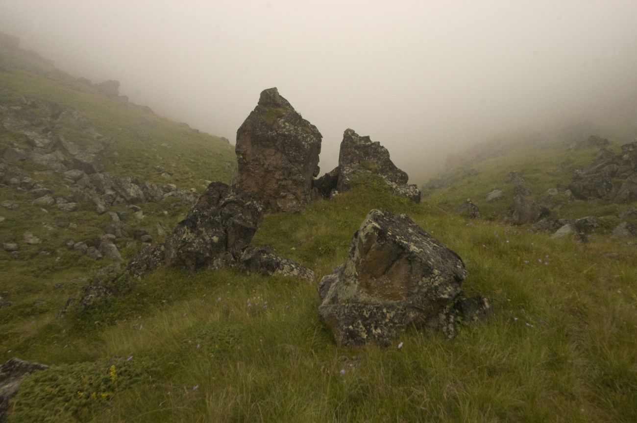 Долина Карачаул, image of landscape/habitat.