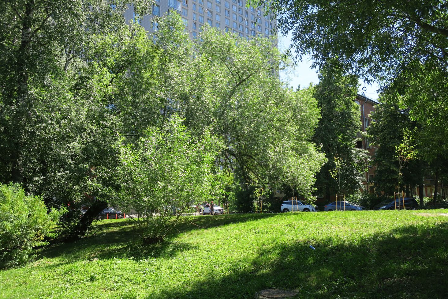 Одинцово, image of landscape/habitat.