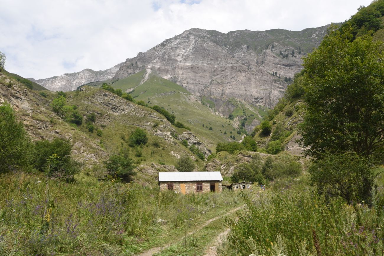 Окрестности селения Цеси, image of landscape/habitat.