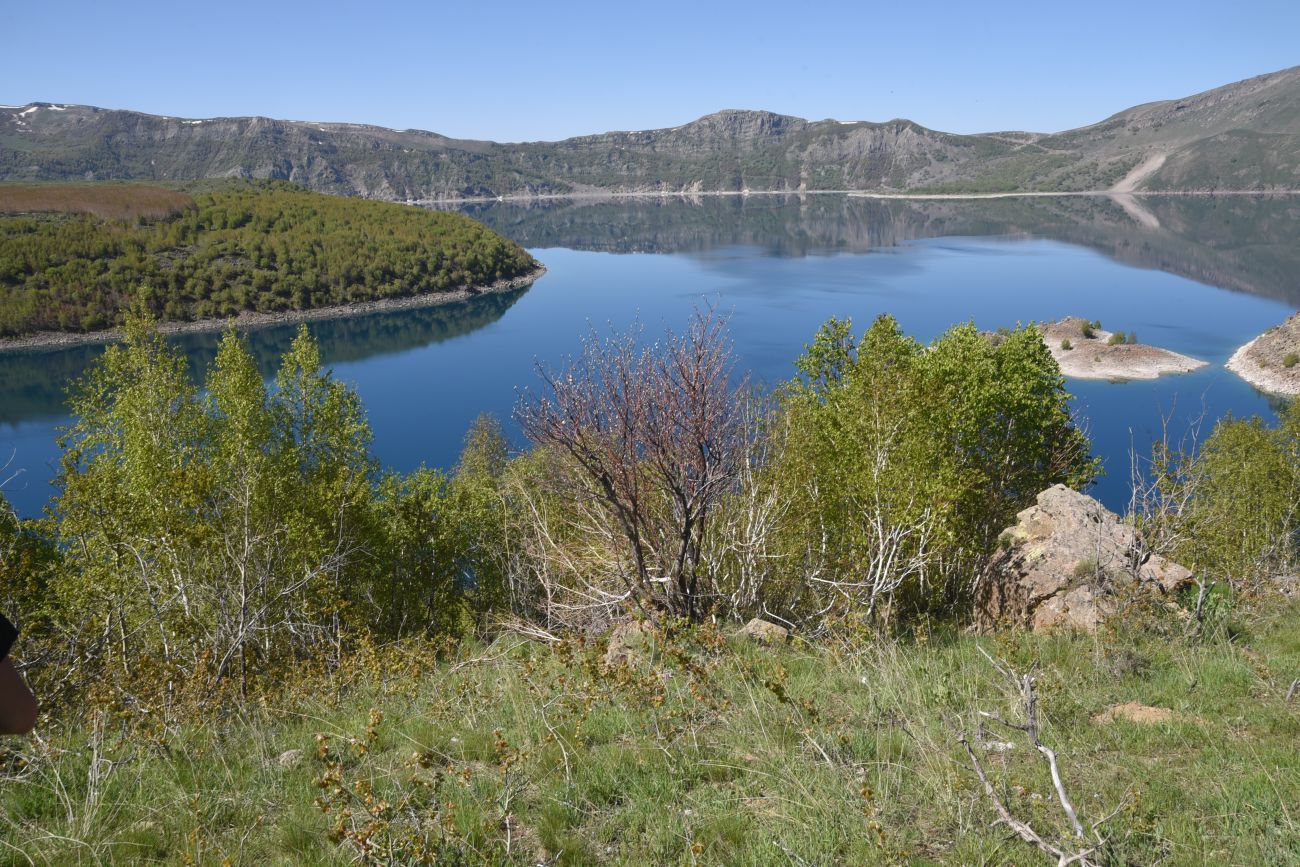 Сырт Ташбурун, image of landscape/habitat.