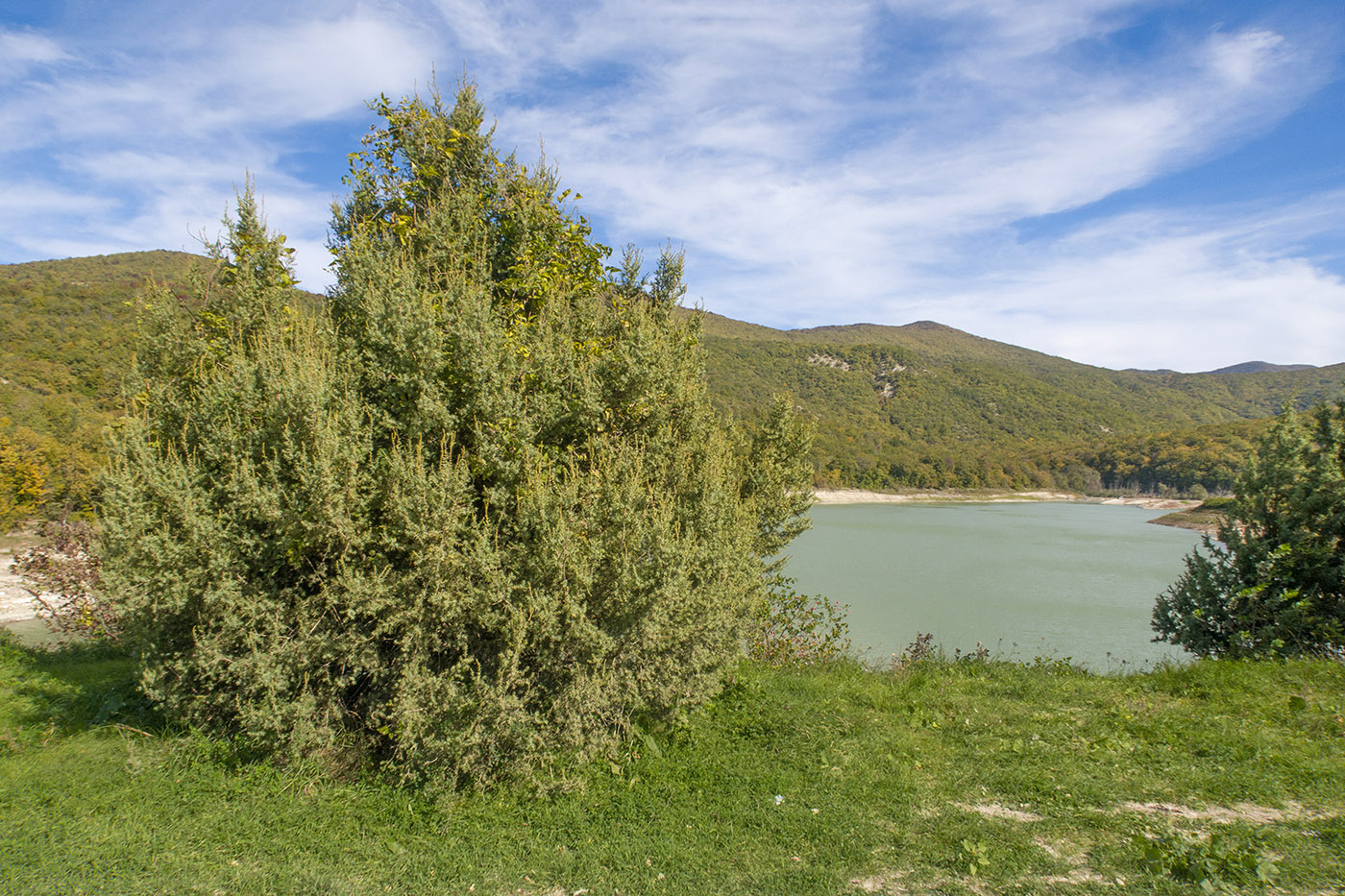 Щель Церковная, image of landscape/habitat.