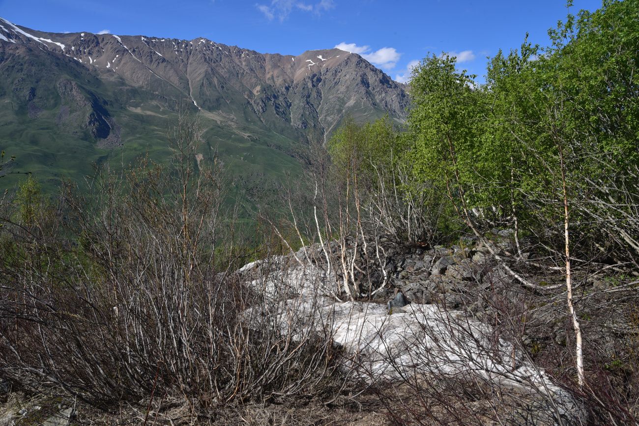 Река Когутайка, image of landscape/habitat.