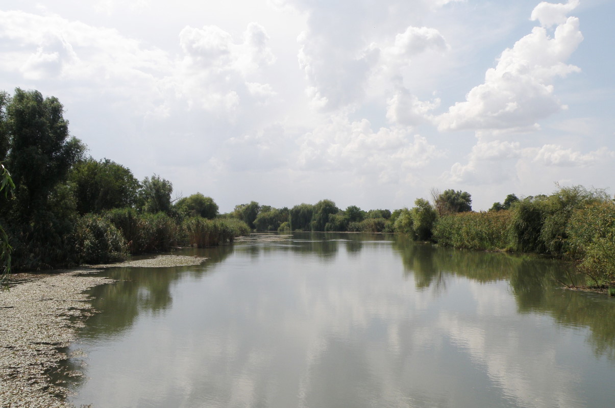 Станица Старонижестеблиевская, image of landscape/habitat.