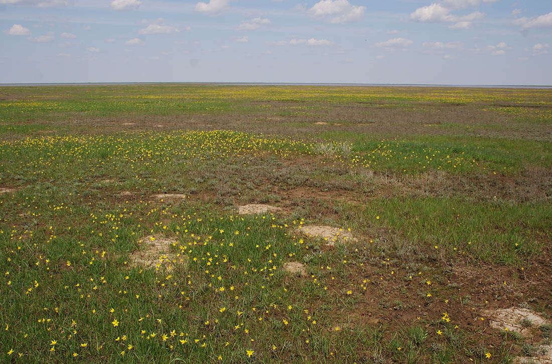 Озеро Булухта, image of landscape/habitat.