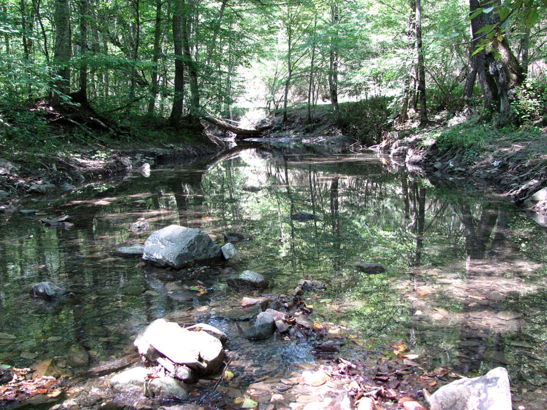 Маркотхский Хребет, image of landscape/habitat.