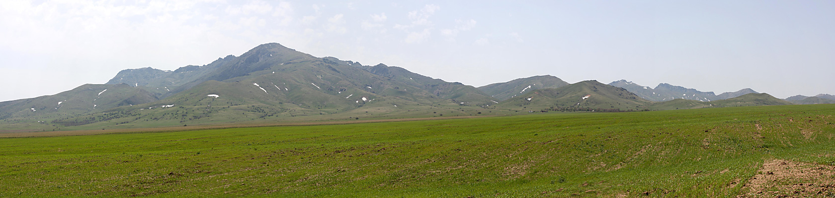 Хребет Боролдайтау, image of landscape/habitat.