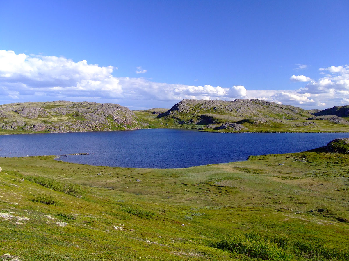 Большое Хариусовое озеро, image of landscape/habitat.