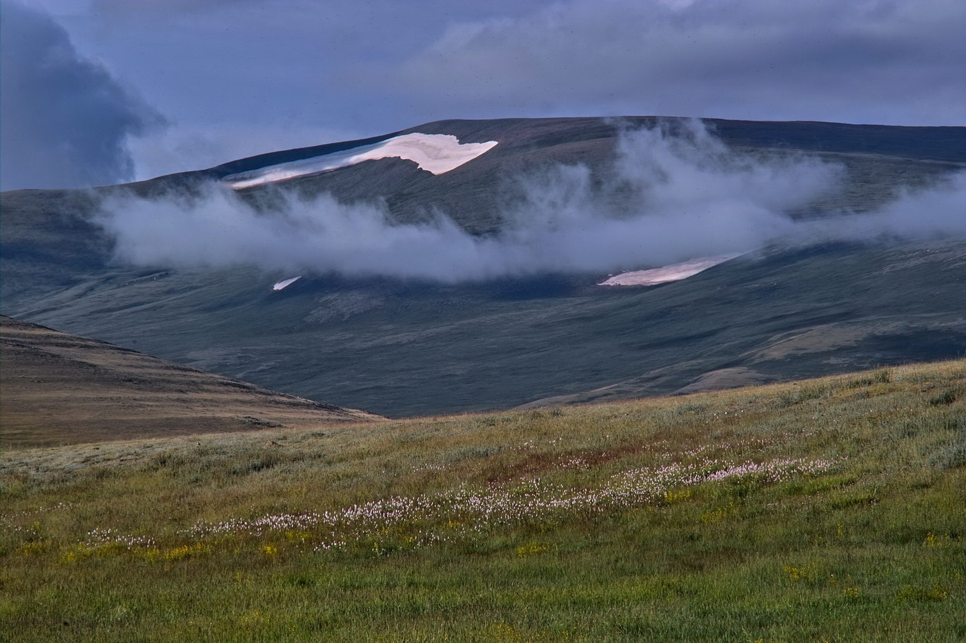 Кызыл-Хая, image of landscape/habitat.