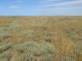Image of landscape