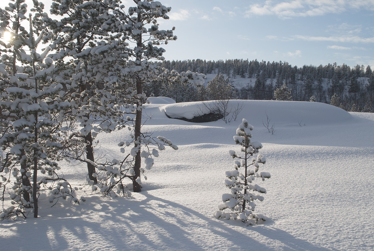 Губа Грязная, image of landscape/habitat.