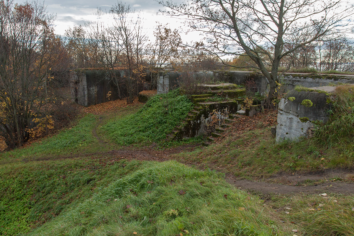 Западный Котлин, image of landscape/habitat.