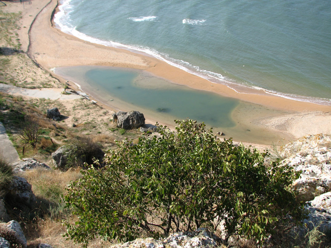 Караларская степь, image of landscape/habitat.