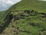 Image of landscape