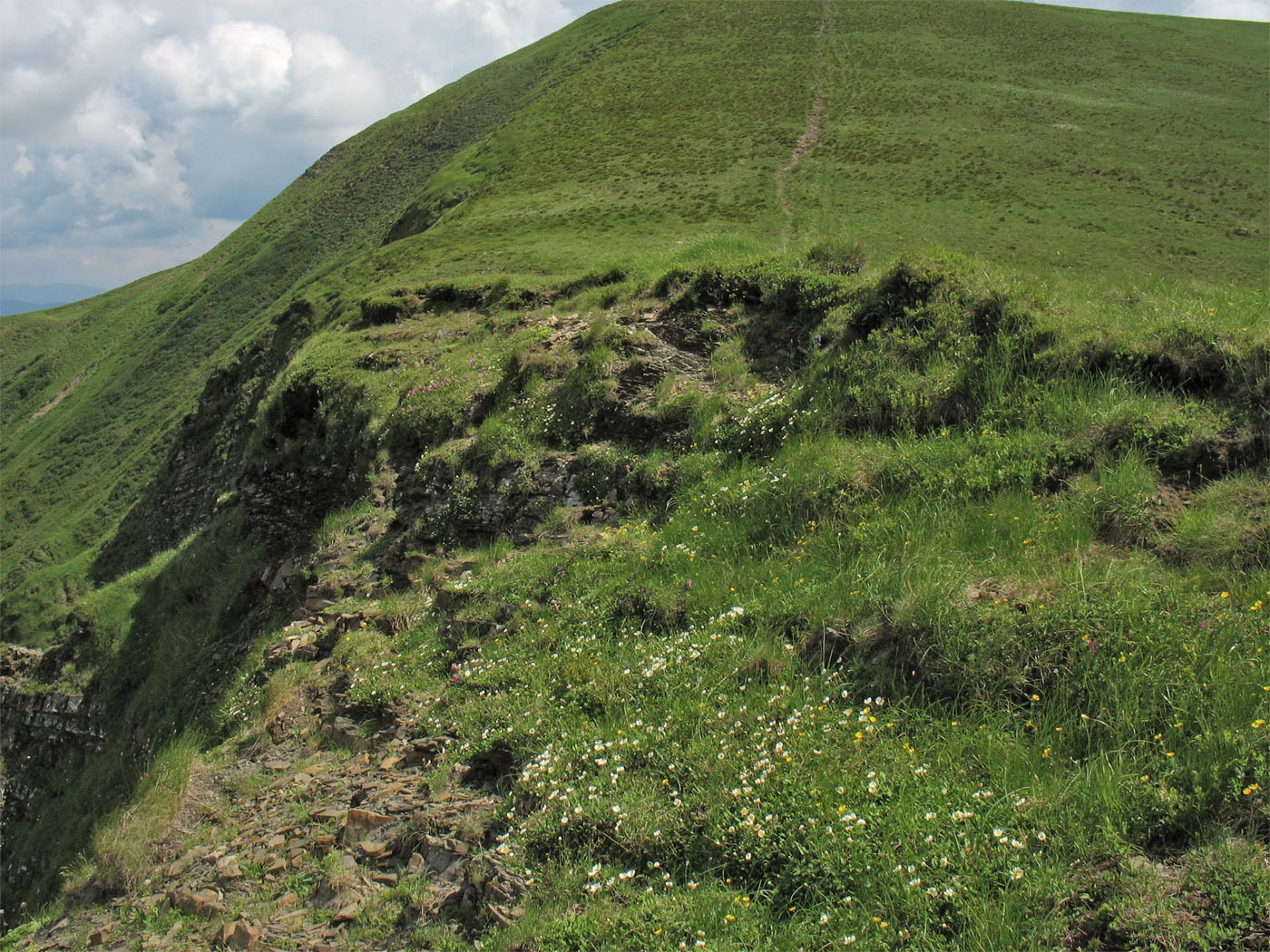 Высокогорья Свидовца, image of landscape/habitat.