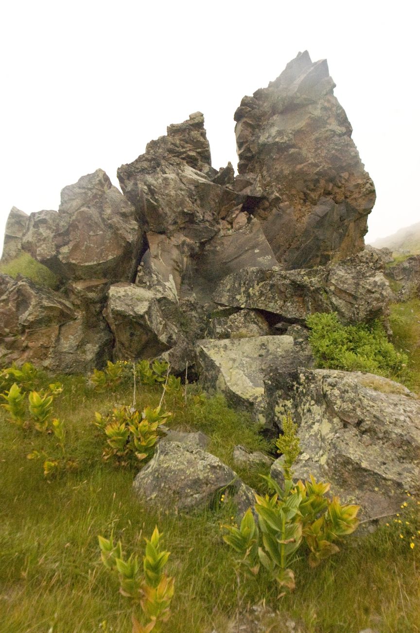 Долина Карачаул, image of landscape/habitat.