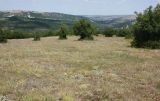 Image of landscape